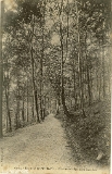 Environs de Plombières. - Chemin de la Fontaine Stanislas (2)